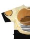 Cream Oversize T-Shirt : Circle Cream and Black Background