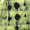 Women Cropped ankle pants - Green : Graphic Grid & Flowers