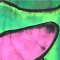 Women Cropped ankle pants - Green : Fuchsia Pink on Green Plane