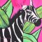 Woman Casual shirts - Pink : Zebra Fantasia