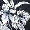 Woman Dress - Black : Midnight Lily Romance