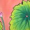 Woman Dress - Orange : Pink Lotus Bloom