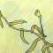 Women Tunic dress - Yellow : The Kingfisher & Emerald Lotus