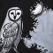 Women Tunic dress - Black : The Nocturnal Owl Silhouette