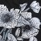 เสื้อเชิ้ตฮาวายผู้หญิง - สีดำ : ลายบุปผารัตติกาล