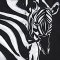 เสื้อเชิ้ตฮาวายผู้หญิง - สีดำ : ลายอัตลักษณ์ม้าลายรัตติกาล