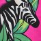 Woman Sleeveless Dress - Pink : Zebra Fantasia