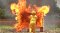 ELIDE FIRE  Fire Extinguishing Ball “Techideas” 1.3 kg