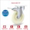 ลูกล้อPOP ลูกล้อรถเข็น รับน้ำหนัก 80-150kg แป้นเบรก SERIES Value B