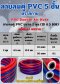 ตราสกาย สายลมคู่ 2 หุน (6.5มม.) หนา 5 ชั้น