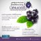 HARRIS Bilberry 3240 | บิลเบอร์รี่สกัด ดูแลสุขภาพของดวงตา 3,240 mg จากนิวซีแลนด์ (60 เม็ด) | แถมฟรี Mask KF94