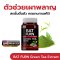 BAT FURN Green Tea Extract Dietary Supplement