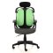 Ergonomic Chair Dual