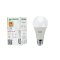 (ยกลัง 100 หลอด) NAGAS หลอดไฟ LED รุ่น Save Bulb 15 Watt แสง WarmWhite