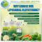 กลูตาไธโอนไลโปโซมอลสูตรเข้มข้น 500มก. (LIPOSOMAL GLUTATHIONE 500mg.)