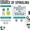 ผงสไปรูลิน่าออร์แกนิค (สาหร่ายเกลียวทอง) Organic Spirulina powder  (75 เสิร์ฟ)