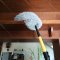 [มินิเซ็ท] ไม้ปัดฝุ่นไมโครไฟเบอร์ ดักจับฝุ่น99% ดัดงอได้ ใช้ปัดฝุ่นรถ ใช้งานในบ้านทั่วไป