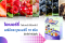 ประโยชน์ของผลไม้ตระกูลเบอร์รี่ อยู่ที่อยู่ในไอเบอร์รี่ (I-Berry) ยิ่งดื่ม ยิ่งดีต่อสุขภาพ