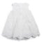 Embroided Scalloped Hem Dress