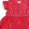 Lace Bodice Tutu Dress