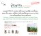 Preda Tester Box Set ;20g