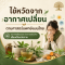 ไข้หวัดจากอากาศเปลี่ยน ตามศาสตร์การแพทย์แผนไทย