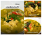 แกงเขียวหวานไก่ เมนูสุดฮิตอีกหนึ่งเมนู