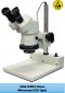 NSW-SERIES Stereo Microscope (ESD Type)