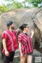 One Day Elephant Sanctuary & Trekking