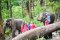 One Day Elephant Sanctuary & Trekking