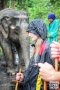 One Day Elephant Sanctuary & Trekking
