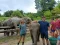 1 Day Trek At Chiang Mai Trekking Center