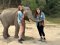 One Day Elephant Sanctuary  + Inthanon  Hiking