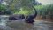 Half Day Afternoon Elephant Sanctuary Care Park