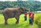 Ran Tong Elephant Full Day Care