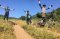 THRILLER THRILLED BY THE TRAIL, THE SCENIC, AND THE STORY TO BE TOLD. ENJOY ALL FLAVORS OF CHIANG MAI RIDING.