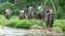 White Water Rafting + Elephant Trekking + ATV