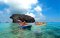 Angthong National Marine Park by Speed Boat