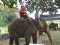 Bikes, Rafts and Elephants