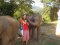 ดูแลช้างเต็มวัน (ไม่มีขี่ช้าง) Chor Chang Elephant Experience