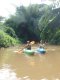 Chiang Dao Jungle Kayaking Adventure (A)