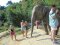 กิจกรรมหนึ่งวันเลี้ยงช้างที่ Chiang Mai Elephant Sanctuary + เดินป่า 
