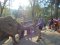 กิจกรรมหนึ่งวันเลี้ยงช้างที่ Chiang Mai Elephant Sanctuary + เดินป่า 