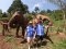 โปรแกรมเต็มวัน Elephant Care + Baan Den Temple and Sticky waterfall Program B(ไม่ขี่ช้าง)