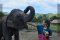 ดูแลช้างครึ่งวันตอนบ่าย Dumbo Elephant Spa