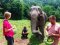 照顾大象一日游 Chiang Mai Elephantland
