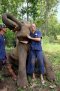 ดูแลช้างครึ่งวันตอนเช้า Elephant Care Project