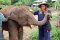 ดูแลช้างเต็มวัน (ไม่มีขี่ช้าง) Elephant Care Project