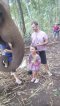照顾大象半日游早上（没有骑大象） Elephant Jungle Paradise