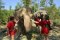 照顾大象一日游（没有骑大象）Elephant Jungle Sanctuary